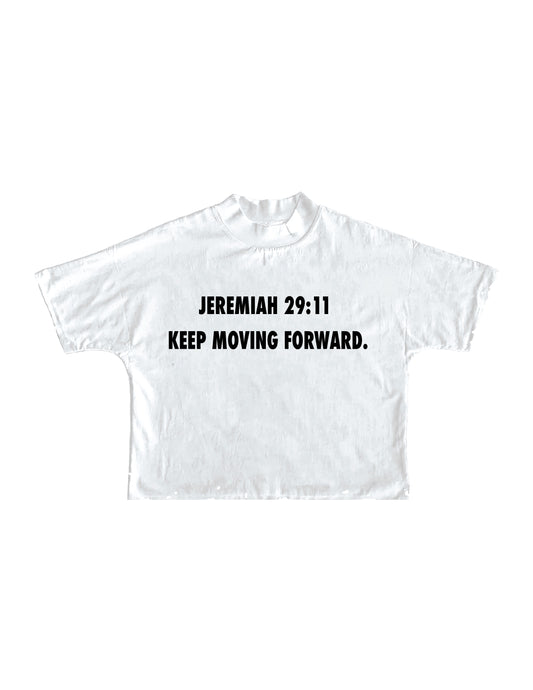 JEREMIAH 29:11 TEE